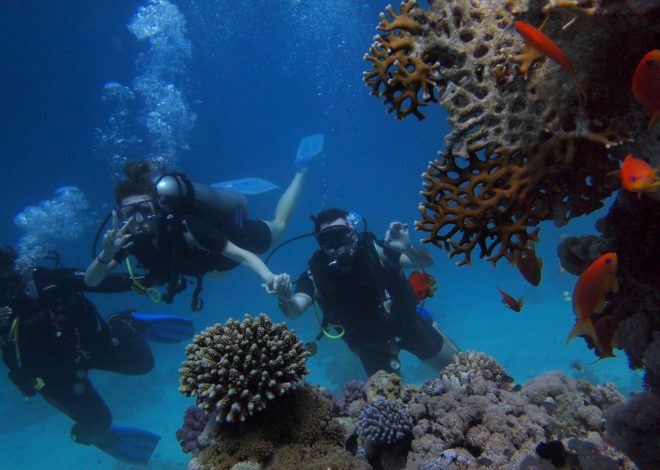 Coral India Finance News: Smart Insights Ahead of Q2 Results