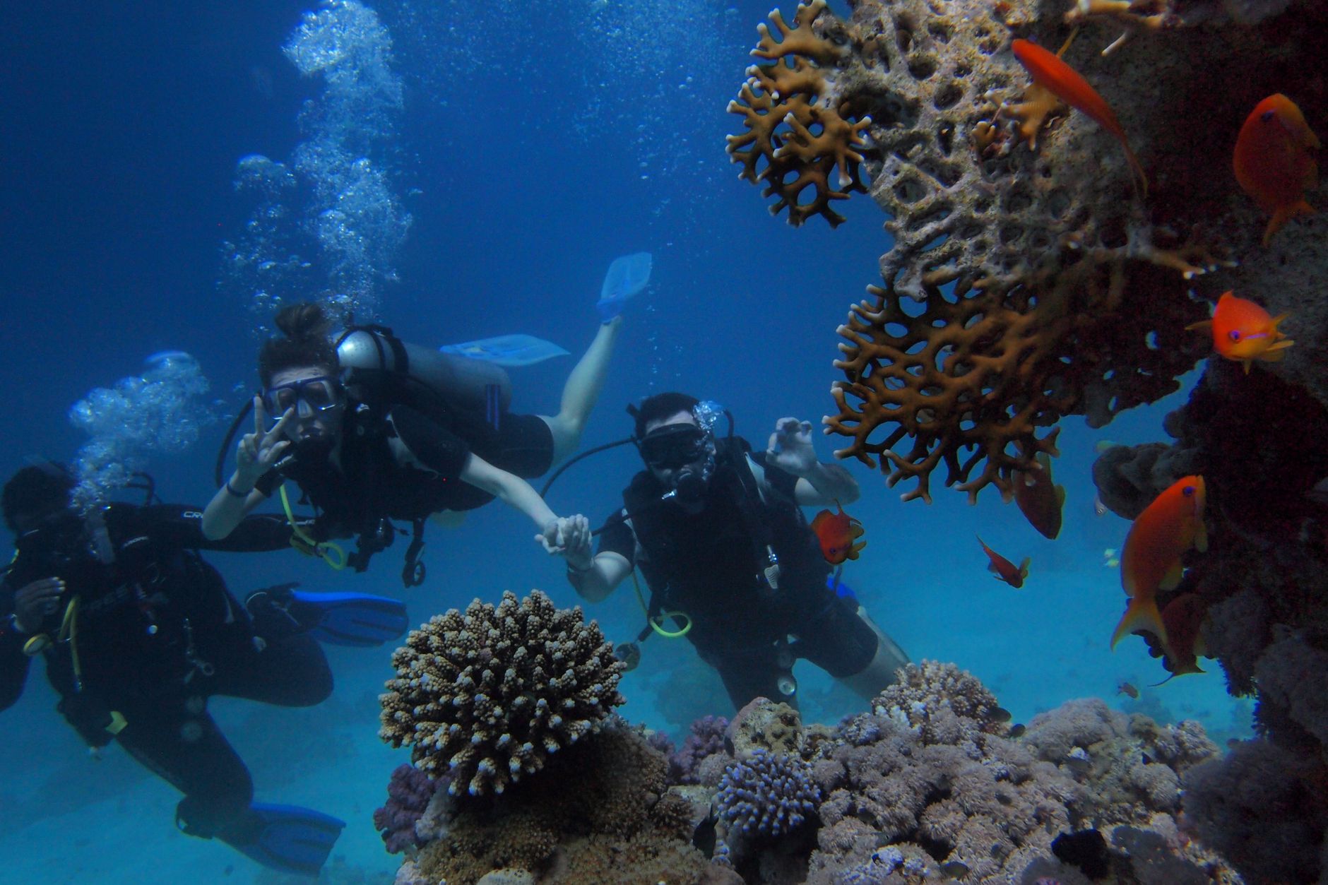Coral India Finance News: Smart Insights Ahead of Q2 Results