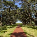 Live Oak Acquisition Corp