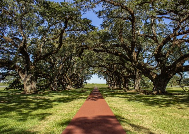 Live Oak Acquisition Corp: Proven IPO Pricing Insights