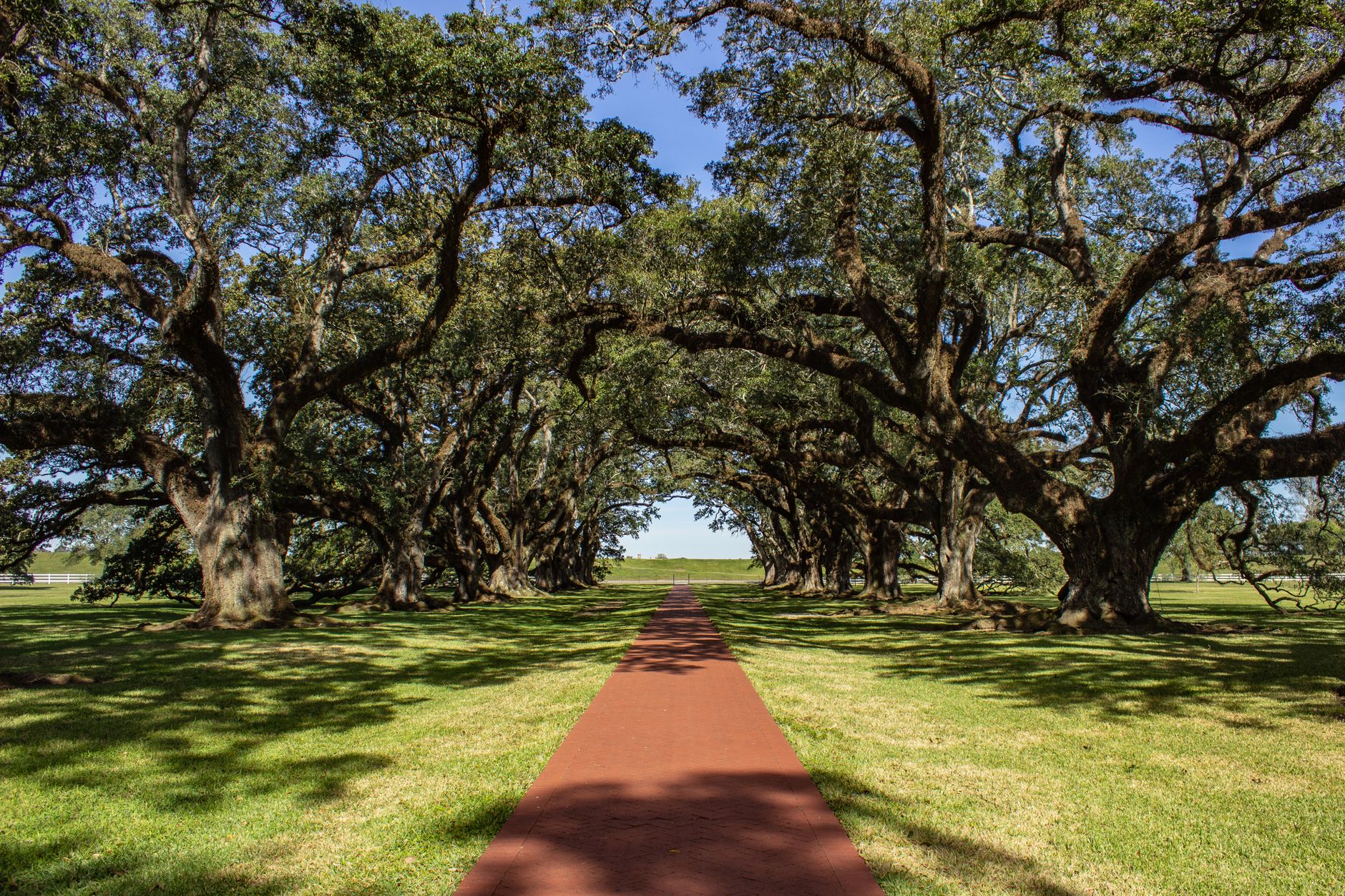 Live Oak Acquisition Corp: Proven IPO Pricing Insights