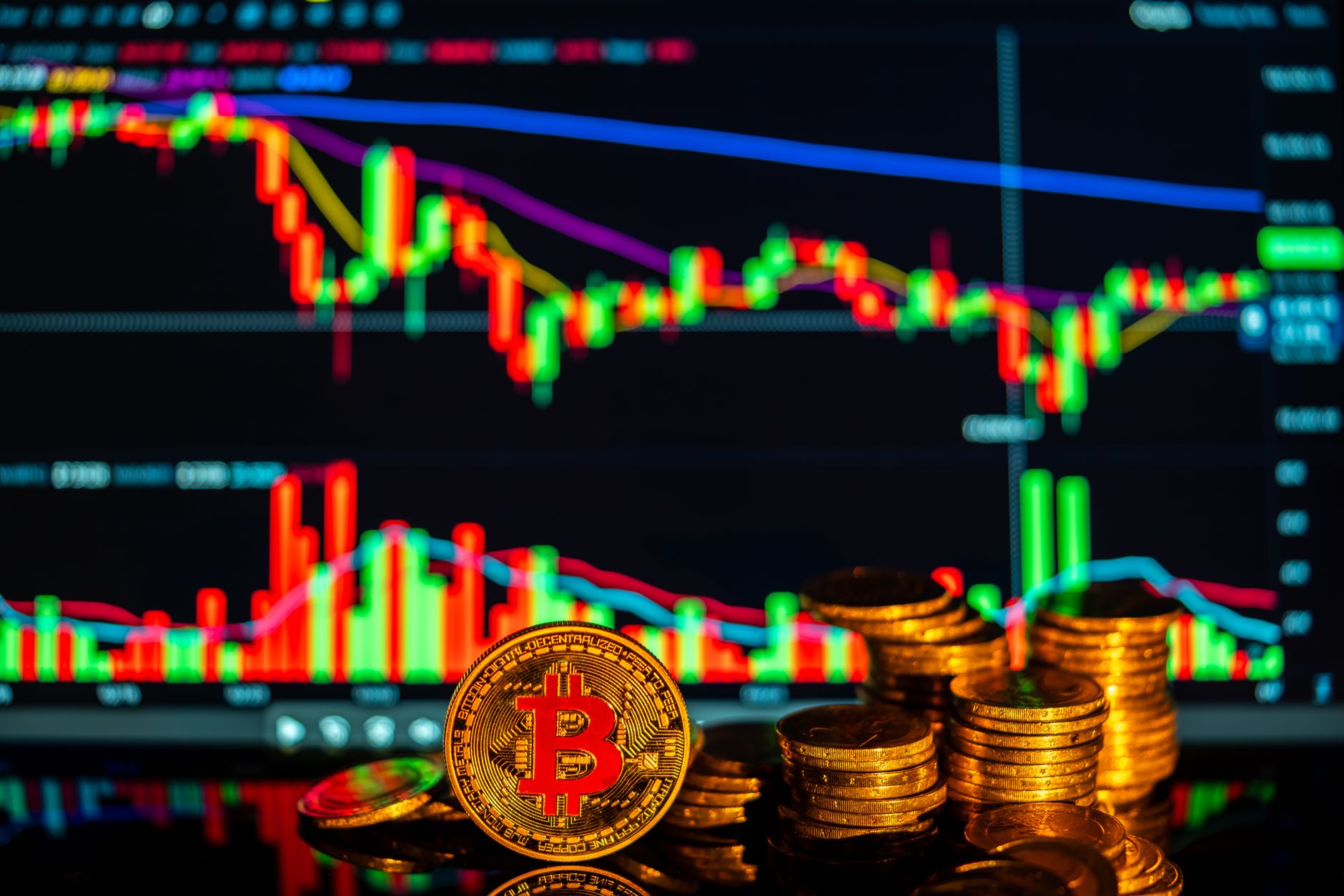Bitcoin Price Crash: Worst Impact on Investors Revealed