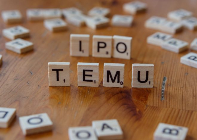 Tonbo Imaging IPO Price: Best Investment Opportunity Ahead